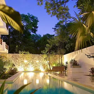 Livetulum Messico